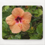 Peach Hibiscus mousepads