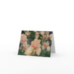 Peach Iris cards