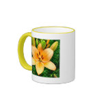 Peach Lily with Raindrops mugs