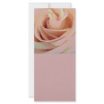 Peach Pink Rose Macro rack cards