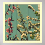.Peach.Plum.Pear. posters