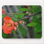 Peach Quince Mousepad