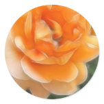 Peach Rose 2 Purity stickers