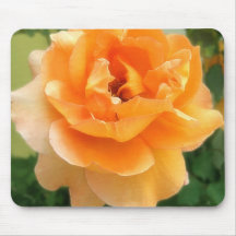 Peach Rose 3  Soft Focus Mouse Pad