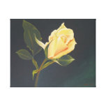 Peach Rose canvas prints