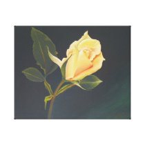 Peach Rose Canvas Print