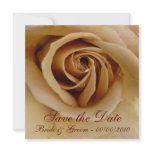 Peach Rose, Save the Date, Bride & Groom - 00/... invitations