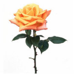 Peach Rose Sculpture photo sculptures