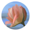 Peach Rose Stickers