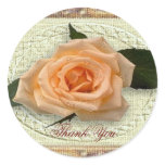 Peach rose - Thank You Sticker