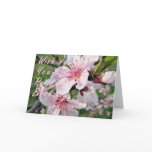 Peach Tree Blooming BD 131 z cards
