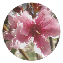 Peachblossom.jpg Party Plate