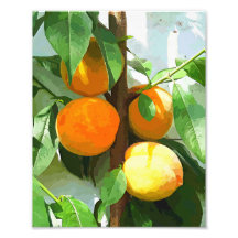 PEACHES ART PHOTO