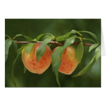 Peaches Card