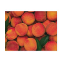 Peaches Postcard