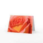 Peachy Orange and Yellow Rose Card
