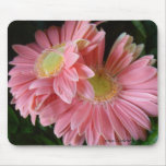 Peachy Pink Daisies Mousepad