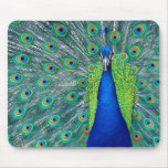 Peacock #1-Mousepad