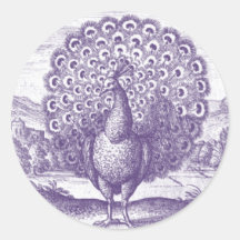 Peacock, a vintage engraving round sticker
