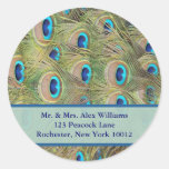 Peacock Address Labels Sticker