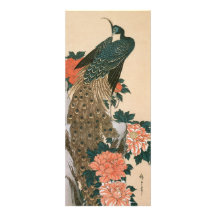 Peacock and Peonies by Ando Hiroshige Announcement