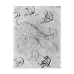 Peacock and Six Monkeys postcards