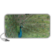 Peacock Animal Speaker speakers