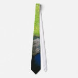 Peacock Animal Neck Tie