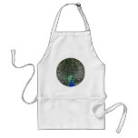 Peacock aprons