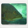 Peacock Bass Mouse Pad