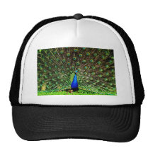 Peacock Beautiful Green Bird Animal Royal Luxury S Trucker Hat