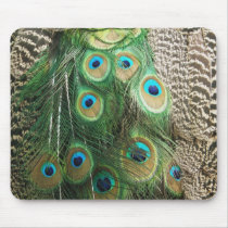 Peacock Beauty - mousepad