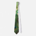 Peacock Beauty - Tie
