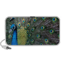 Peacock Blue Speaker speakers