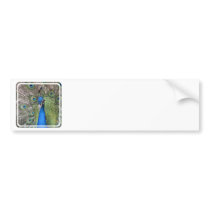 Peacock Bumper Stickers