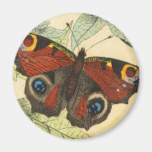 Peacock Butterfly Magnets