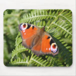 Peacock butterfly mousemat mousepads