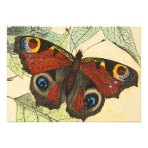 Peacock Butterfly Personalized Invitations