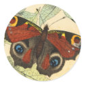 Peacock Butterfly stickers