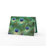 Peacock-Card - You're Invited