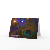 Peacock Christmas Feather Greeting Cards
