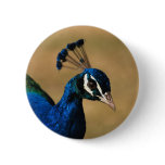 Peacock customisable badges & buttons