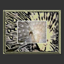 Peacock Double Take posters