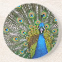 Peacock Drink Coaster