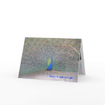 Peacock - Farewell Card