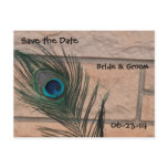 Peacock Feather and Bricks Wedding Postcard