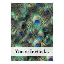 Peacock Feather Background Announcement