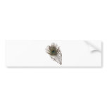 Peacock feather bumper stickers