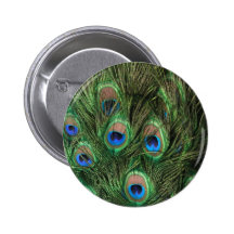 Peacock Feather Button