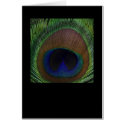 Peacock Feather cards